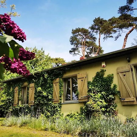 Ohana House W Juracie דירה יוראטה