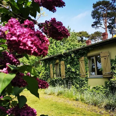 Ohana House W Juracie דירה *