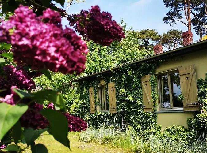 Ohana House W Juracie Apartmán *